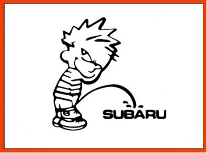 badboy-piss-sur-subaru